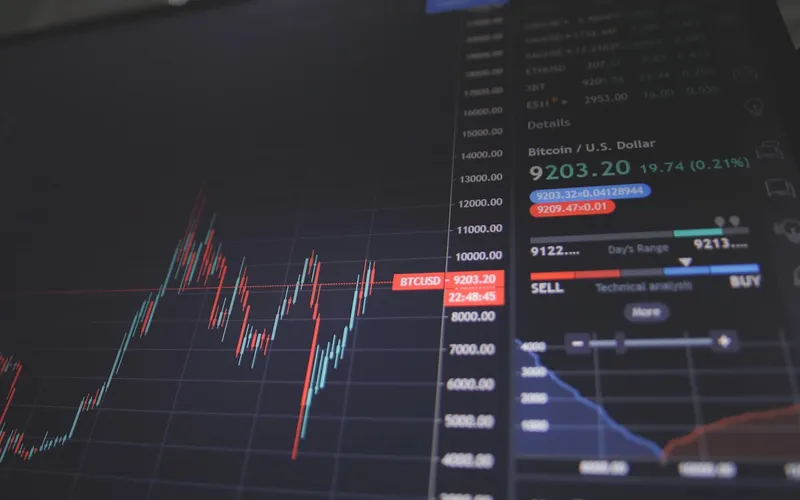 Preview do projeto Balancewise.io